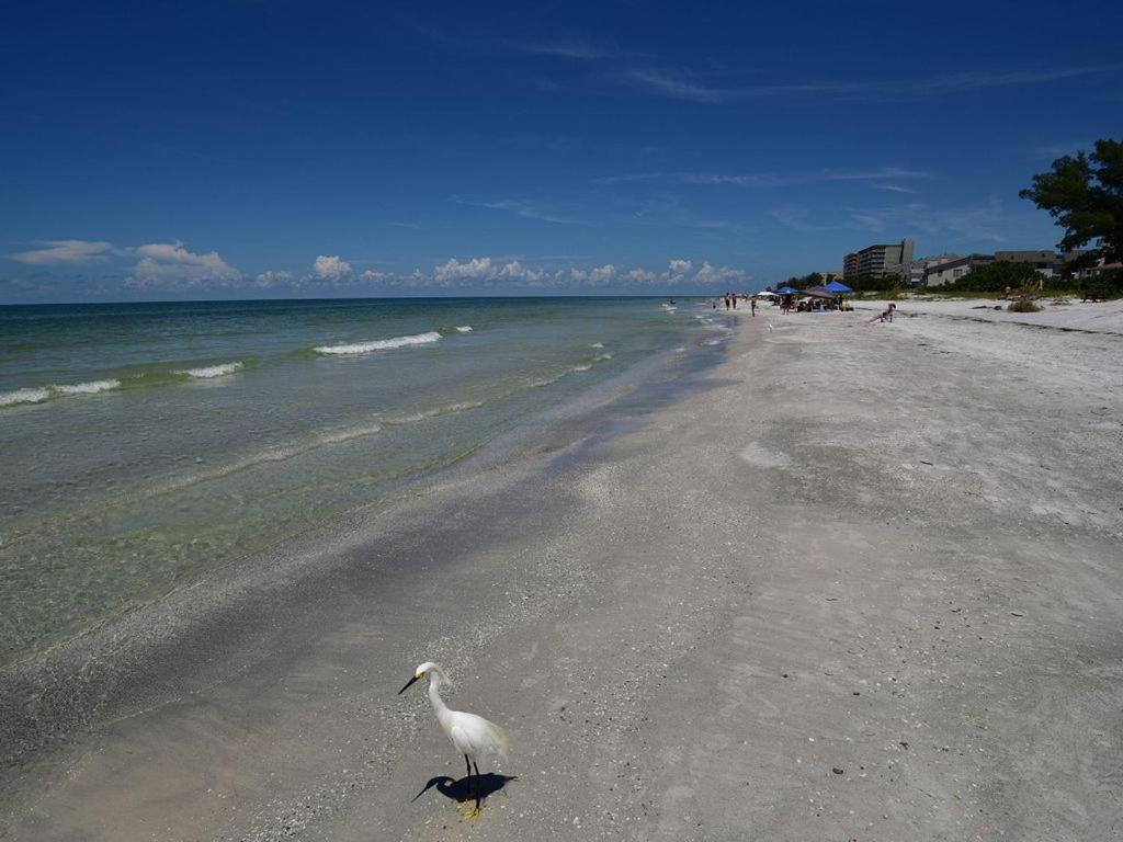 Gulf Retreat 2: Magnificent Water Views, Steps To Beach, None Cleaner, None Nicer! Clearwater Beach Eksteriør bilde